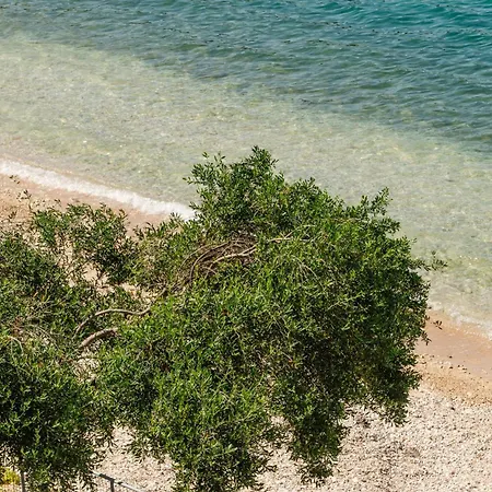 George & Danai Kassiopi