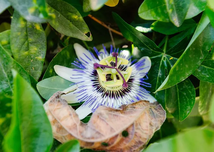 Casa vacanze George & Danai *