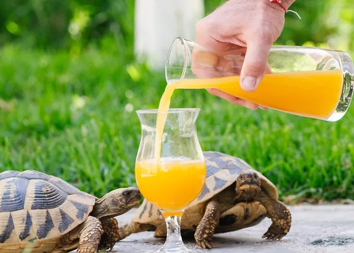 George & Danai Kassiopi