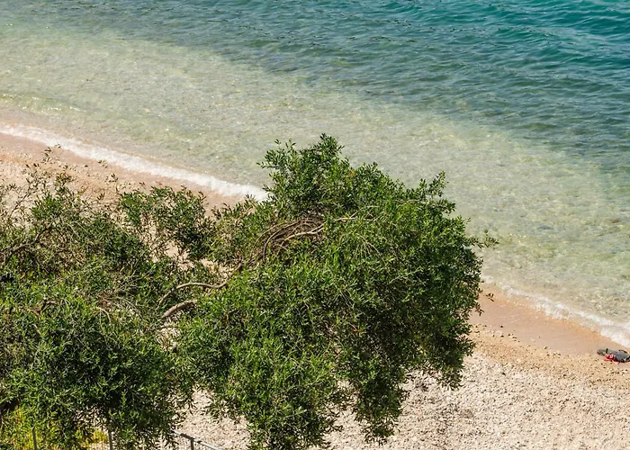 George & Danai Kassiopi